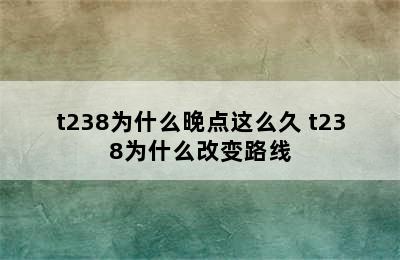 t238为什么晚点这么久 t238为什么改变路线